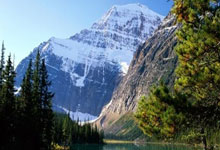 天涯神贴预言楼市：来自网络的神奇预判