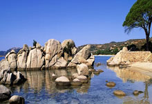 天涯神贴预测股市：那些论坛上的奇人奇贴和股市预言